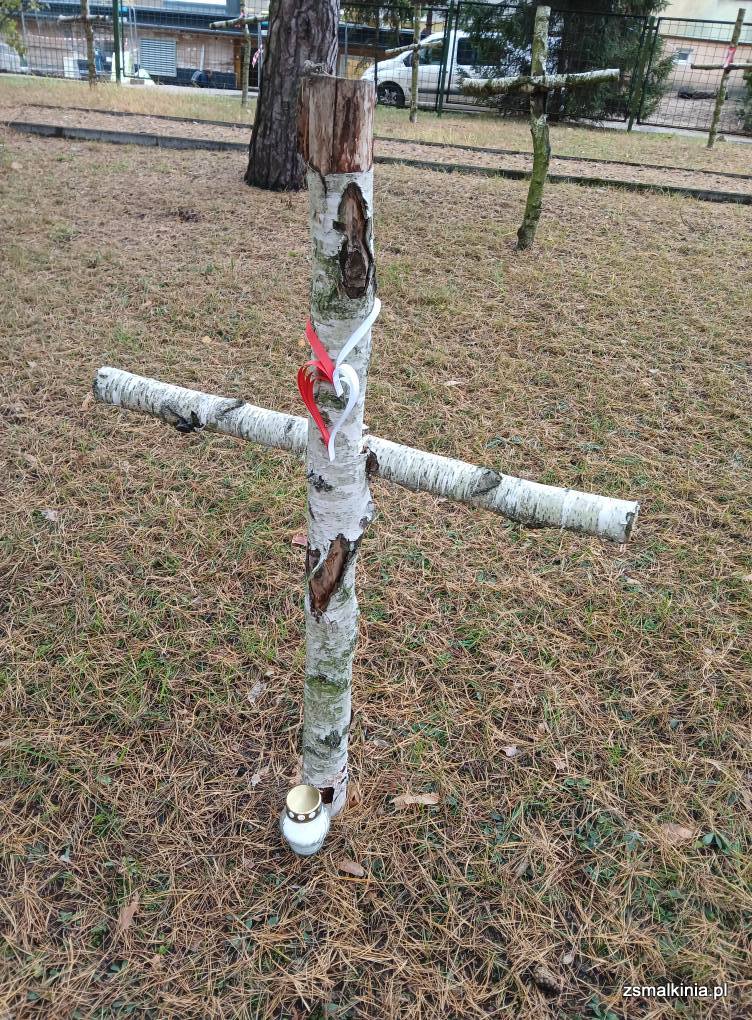 571808108_1519722256335800_689064843473677723_n