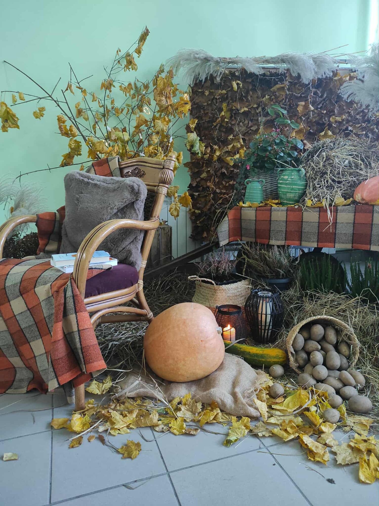 579920572_1530995171875175_6390798828944740958_n